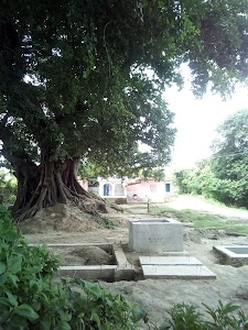 नवटोलिया ब्राह्मण टोला स्कूल