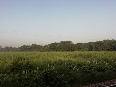 Shahabad Dehat