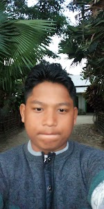 Dibrujan No.4
