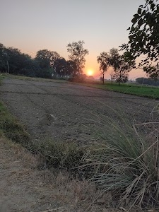 Badhya