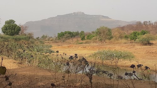 Dhinkva