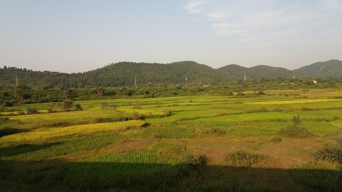 Elephant Corridor Chandil