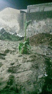 Balaji Mandir
