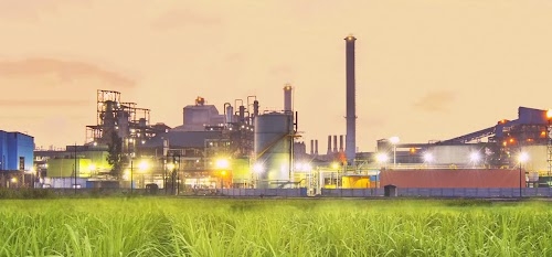 Dhampur Bio Organics Limited