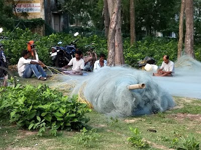 Talsara