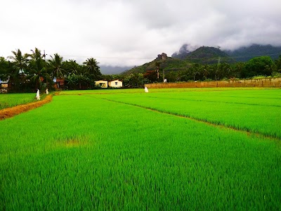 The Salvation Army Church Kadambadivilagam, இரட்சணிய சேனை தேவாலயம் கடம்படிவிளாகம்