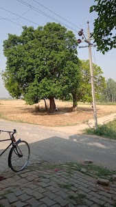 Madhur pan shop