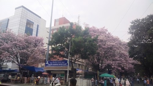 Jayanagar 4 Block, Jayanagar