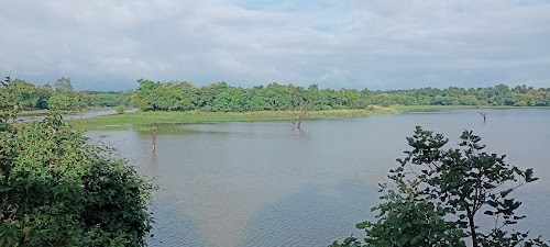 Gorewada Safari