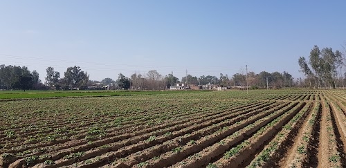 Jahan Khelan