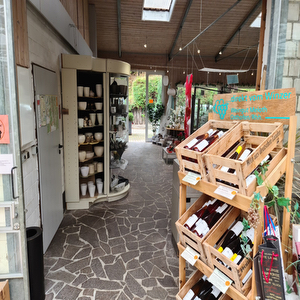 Orchideen Netzer & Café Orchidee