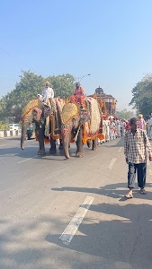 Surat
