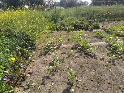 Kudiyav