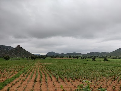 Sri Tulhja Bhavani Temple Peddamunigal