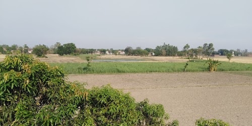Magadiha