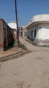 Bhasana