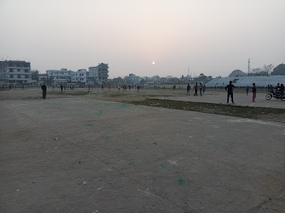 V. M.Field