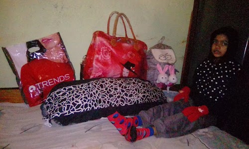Hotel Asha