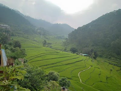 Paukhal Gaon