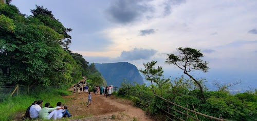 Nelliyampathy