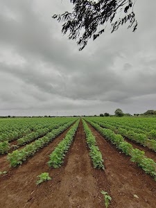 Khambhala