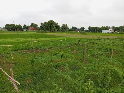 Jayapur