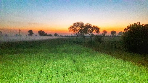 Devrath Fruit & Farm