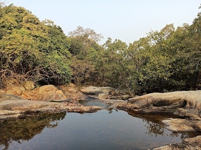 kuldiha