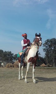 Kali Mandir Tilsandi 510