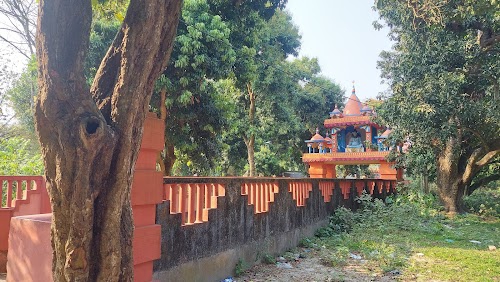 ্হংসগেড়িয়া মহা শ্মশান