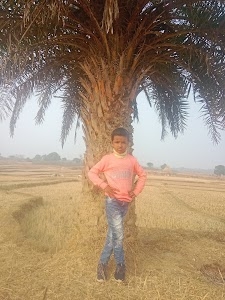 Bhikhampur