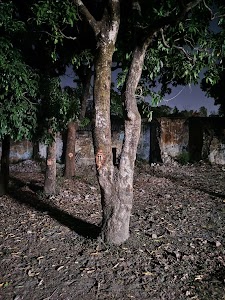 Birpur cantt park