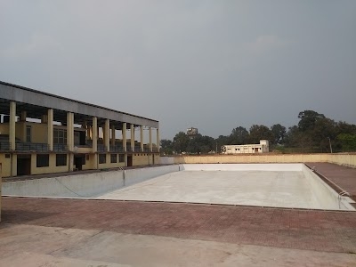 Olympic Swimming Pool
