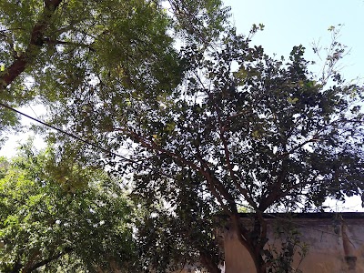 Dargahpara
