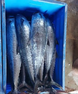 Chinke Fish