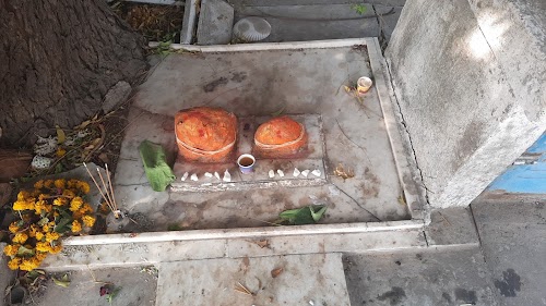 પાલકીયા ભટ્ટ પરિવાર ના સુરધાનદાદા
