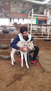 Partyaksh sharma home