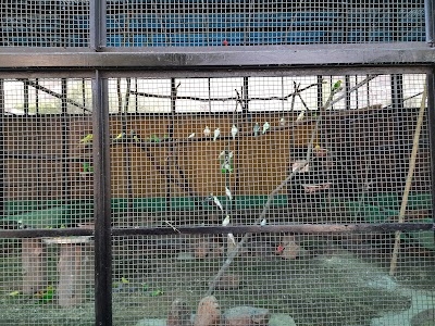 BIRD PARK