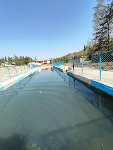 Bongam Damhal swimming pool
