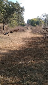 Hasthinapur