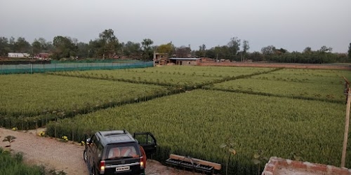 Sapana Farm House