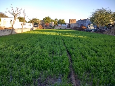 Kadwa Ka baas