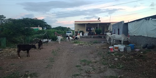 Mirgaon