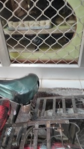 होरिलाल