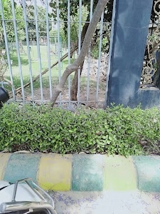 J.P. International School