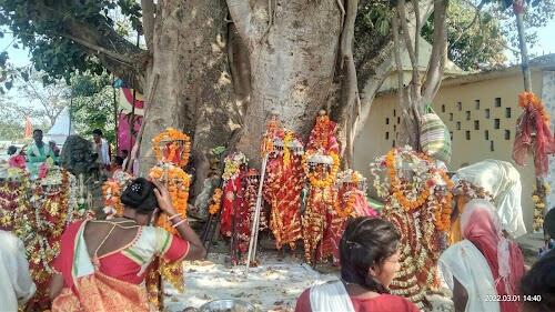 Nag temple Mangnar
