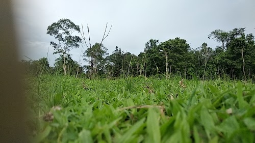 Rajabari Play Ground