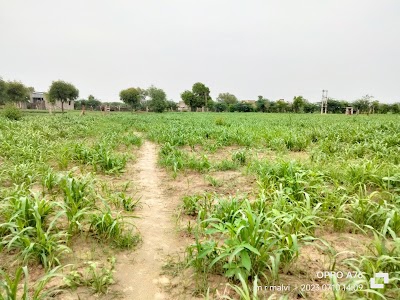 Malvi farm house