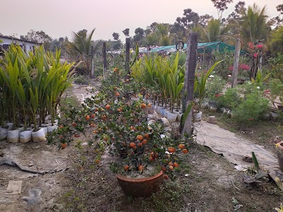 HONG-KONG PARK
