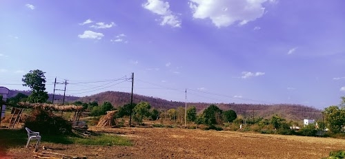 Pawar Farms